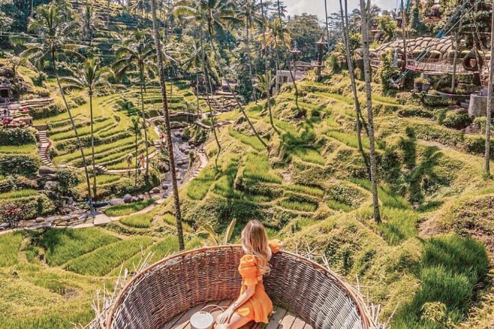 Ubud: Waterfall ,Rice Terraces & Monkey Forest Private Tour - Image 5