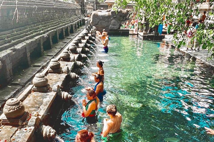 Ubud: Waterfall ,Rice Terraces & Monkey Forest Private Tour - Image 1