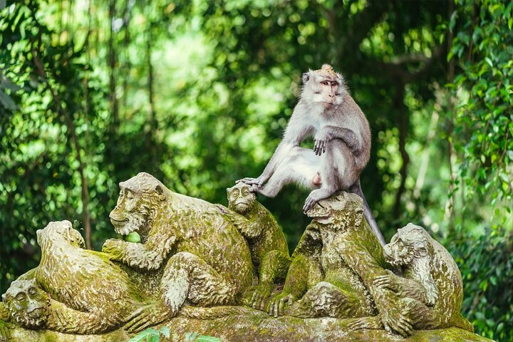 Ultimate one-stop Jewelry Experience with Ubud Tour - Image 3