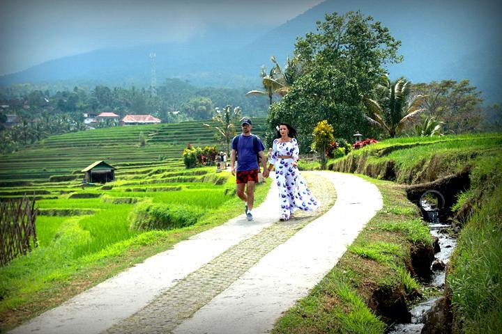 UNESCO sites : Jatiluwih,Taman Ayun,Batukaru and Tanah Lot - Image 1