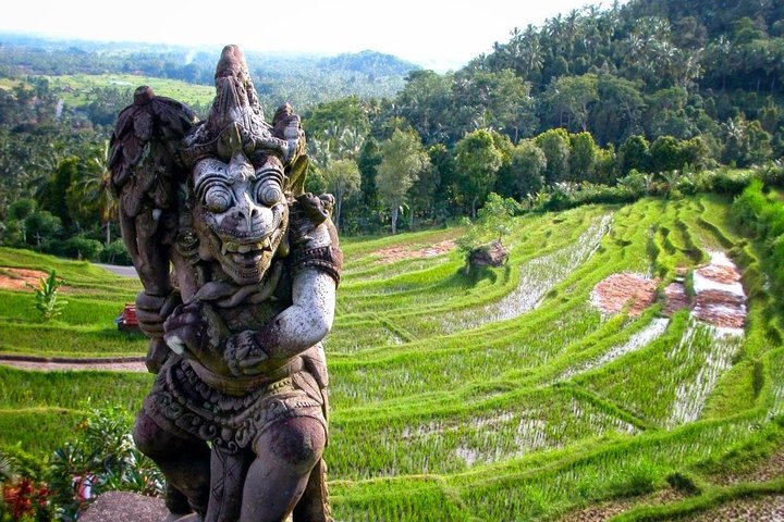 Water Temples and UNESCO Rice Terraces Private Bali Tour  - Image 4