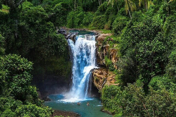 Wonderful of Ubud Tour - (Private & All-Inclusive) - Image 3