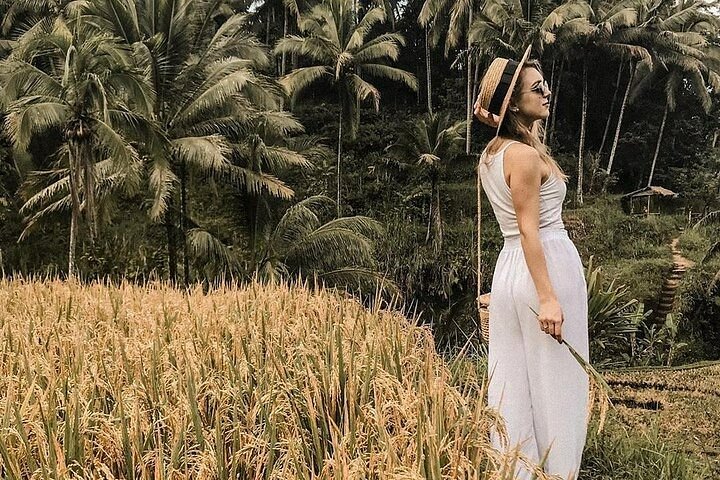 Wonderful of Ubud Tour - (Private & All-Inclusive) - Image 1