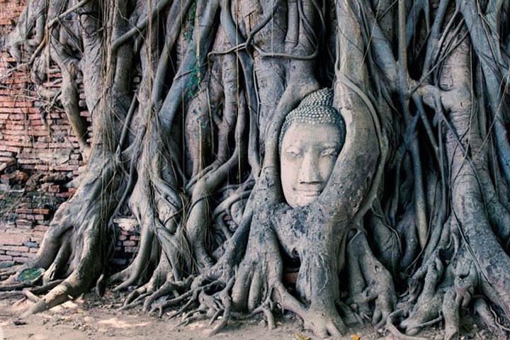 2 Day Private Car with Driver from Laem Chabang to Bangkok & Ayutthaya - Image 2