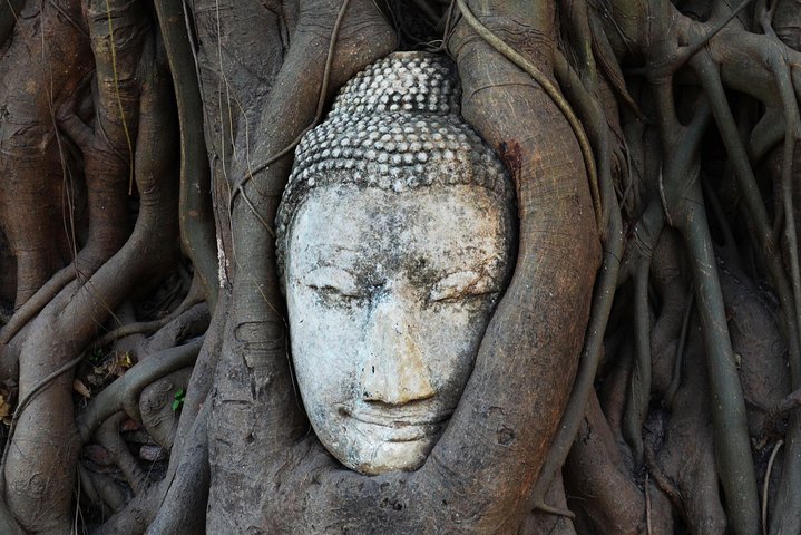 Shore Excursion from Laem Cha Bang Port to Ayutthaya (Private tour) - Image 5