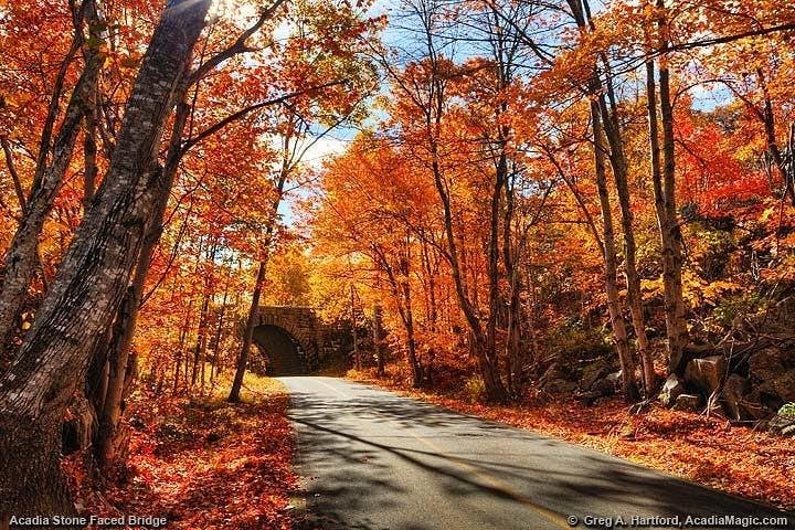 4 Hour Private Tour: Acadia National Park, Cadillac Summit & Somes Sound - Image 4