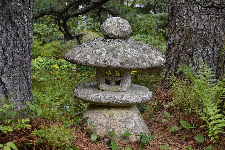 4 Hour Private Tour: Acadia National Park, Cadillac Summit & Somes Sound - Image 5