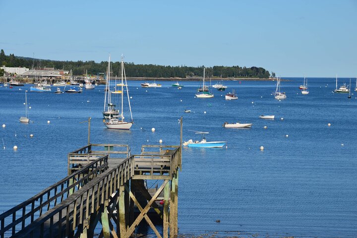 6 Hour Private Tour: Acadia, Cadillac Summit, Somes Sound & Lobster Pound - Image 2