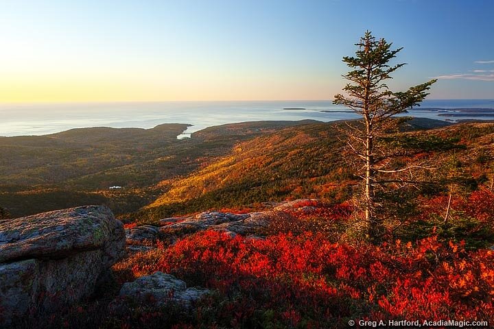 6 Hour Private Tour: Acadia, Cadillac Summit, Somes Sound & Lobster Pound - Image 5