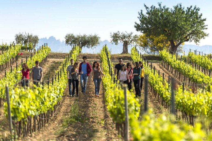 Barcelona Port Shore Excursion: Countryside Wine&Cava Tastings and Lunch - Image 1