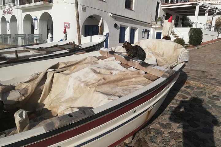 Do a real Zindagi na milegi dobara in Costa Brava from Barcelona - Image 5