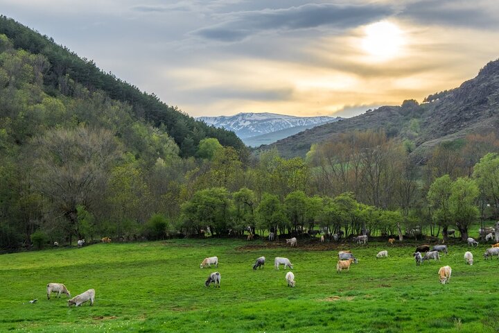 Full Day Private Guided Tour in Cerdanya - Image 1