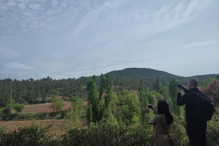 Half Day Private Wine & Oil Tasting Tour near Barcelona with hotel pick up - Image 2
