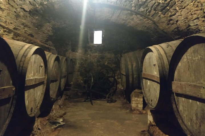 Half Day Private Wine & Oil Tasting Tour near Barcelona with hotel pick up - Image 3