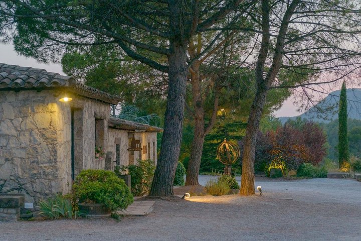 Half Day Private Wine & Oil Tasting Tour near Barcelona with hotel pick up - Image 1