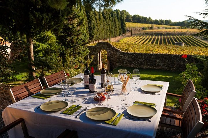 Horseback Ride, Penedés, Wine Tasting & Tapas Lunch - Image 3