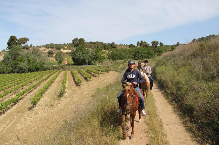 Horseback Ride, Penedés, Wine Tasting & Tapas Lunch - Image 4