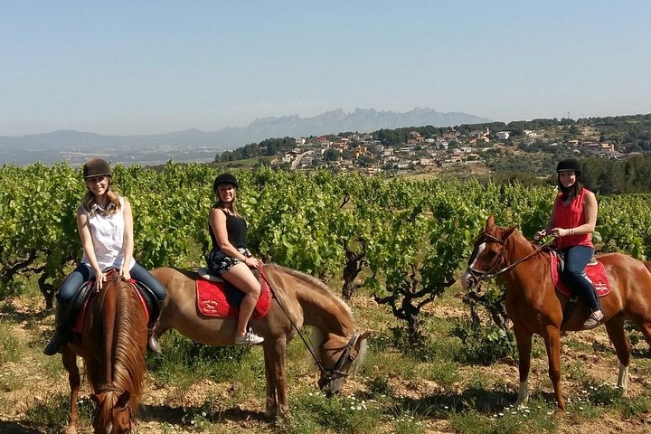 Horseback Ride, Penedés, Wine Tasting & Tapas Lunch - Image 1