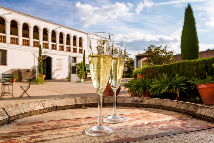 Penedès, Cava & Wine Private Tour from Barcelona - Image 5