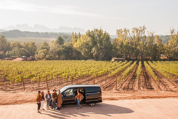 Penedès, Cava & Wine Private Tour from Barcelona - Image 2