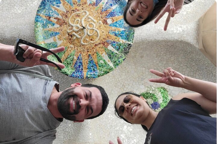 Private Barcelona Tour + Sagrada Familia, Park Güell & Casa Milà - Image 3