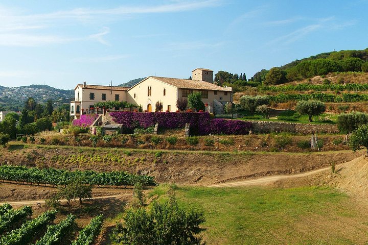 Private Breakfast Winery Experience - Private Wine Tasting Tour - Image 1