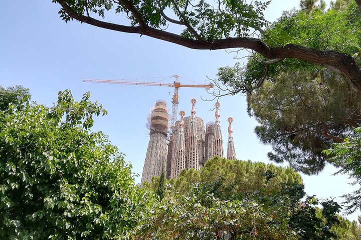 Private driver in Barcelona - Image 2