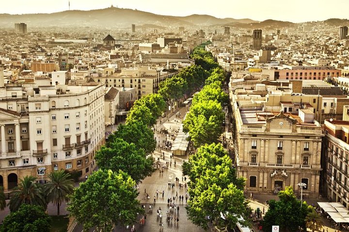 Private Tour: Barcelona Half-Day Sightseeing Tour - Image 1