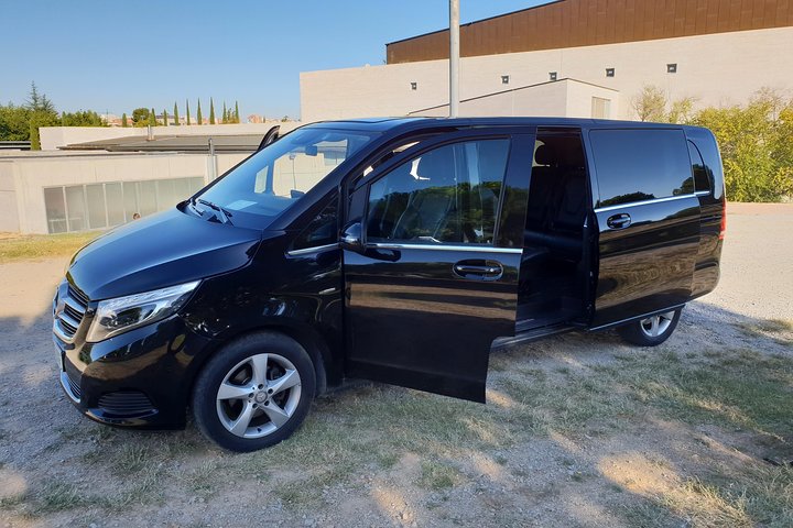 Private Van Tour with Professional Driver/Guide - Image 2