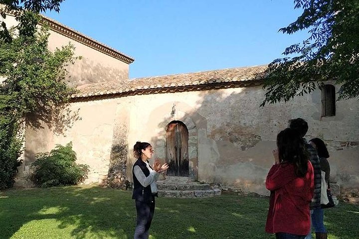 Private Wine & Cava Tasting Tour In Penedés Region with hotel pick up - Image 4