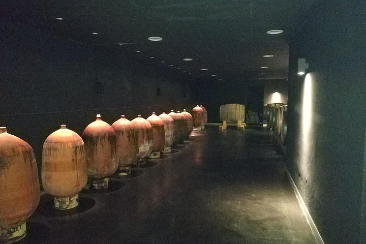Private Wine & Cava Tasting Tour In Penedés Region with hotel pick up - Image 3
