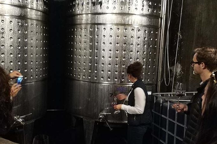 Private Wine & Cava Tasting Tour In Penedés Region with hotel pick up - Image 2