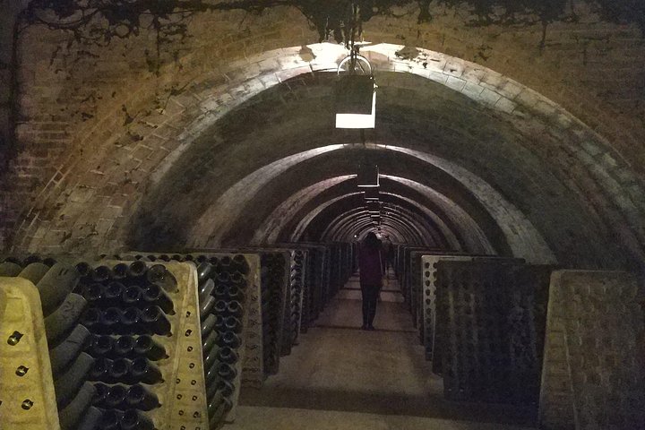 Private Wine & Cava Tasting Tour In Penedés Region with hotel pick up - Image 5