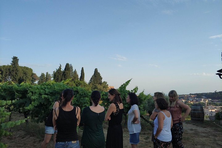 Private Wine Tasting Tour with Picnic lunch and hotel pick up near Barcelona - Image 4