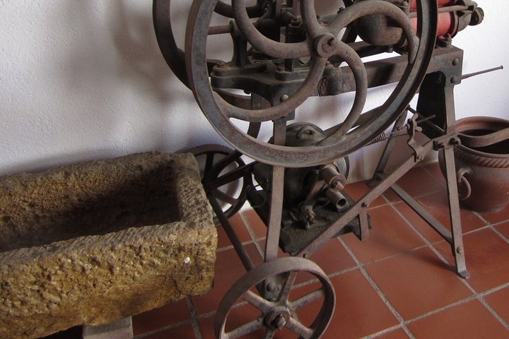 Wine Cellar Penedés Tour - Image 3