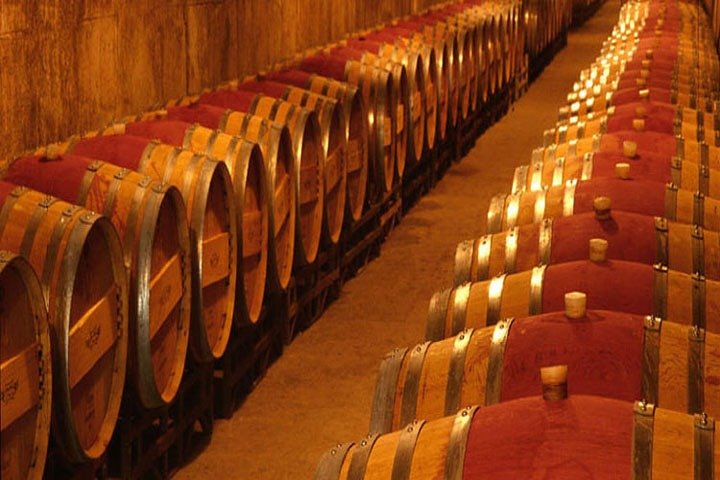 Wine Cellar Penedés Tour - Image 4