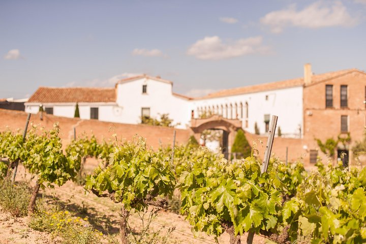 Wine, Tapas & Cava Private Tour from Barcelona - Image 3