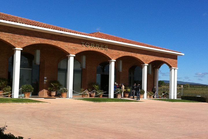 Wine tour - Penedes wine region - (2 wineries included) - Image 5