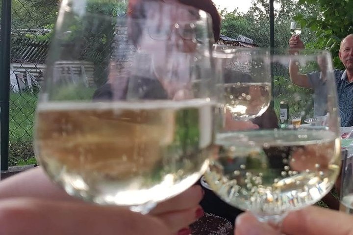 Wine tour - Penedes wine region - (2 wineries included) - Image 3