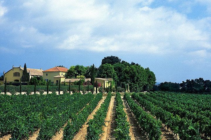 Winery Tour with Private Luxury Vehicle from Barcelona with Hotel pick up - Image 4
