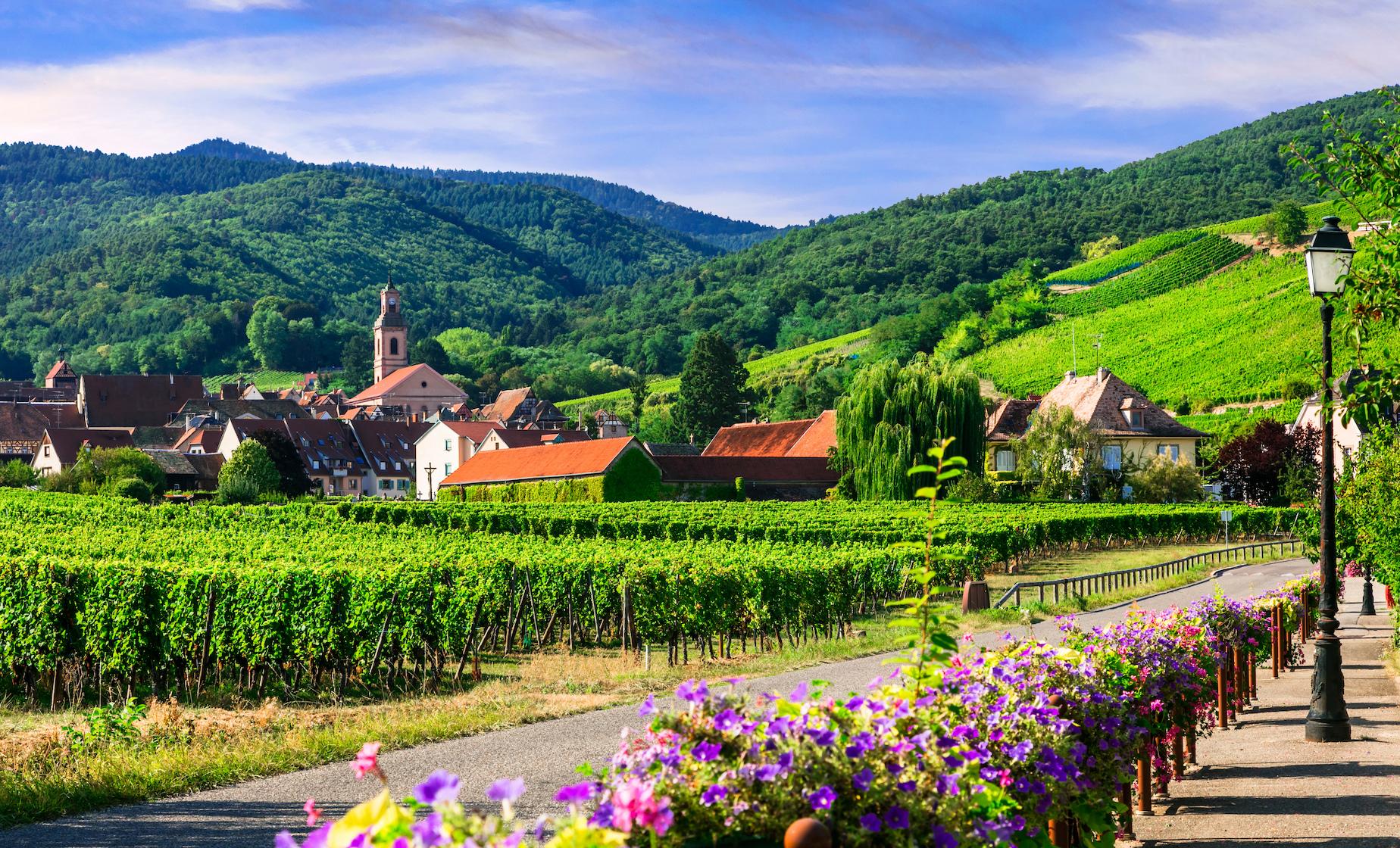 Private Exploration of Alsace and Wine - Image 1