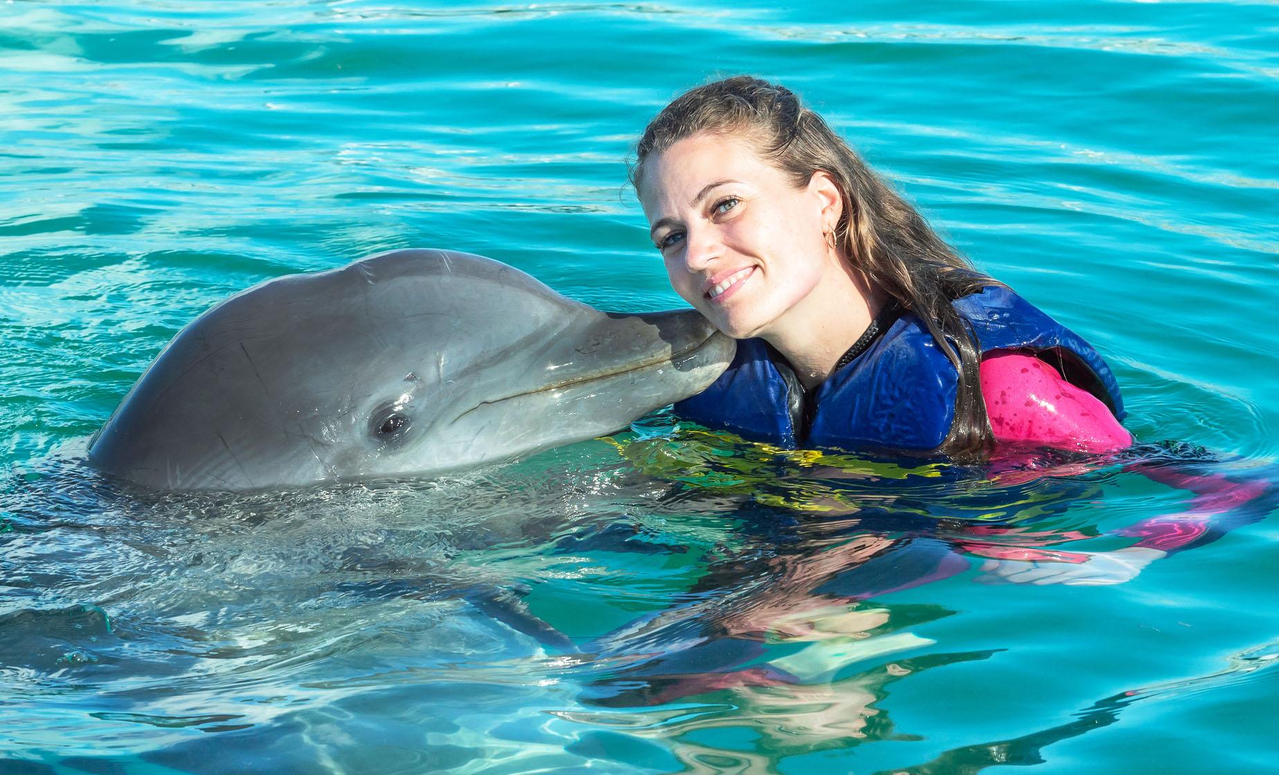 Dolphin Swim Adventure - Image 1