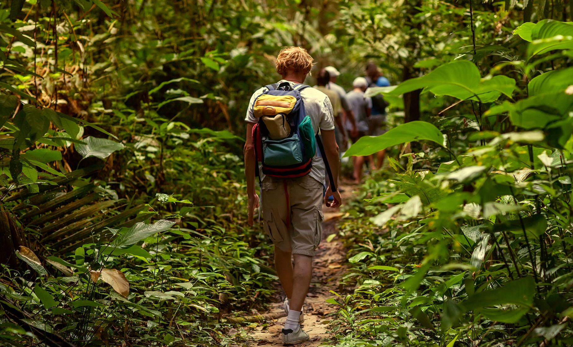 Hiking the Rainforest Adventure - Image 1