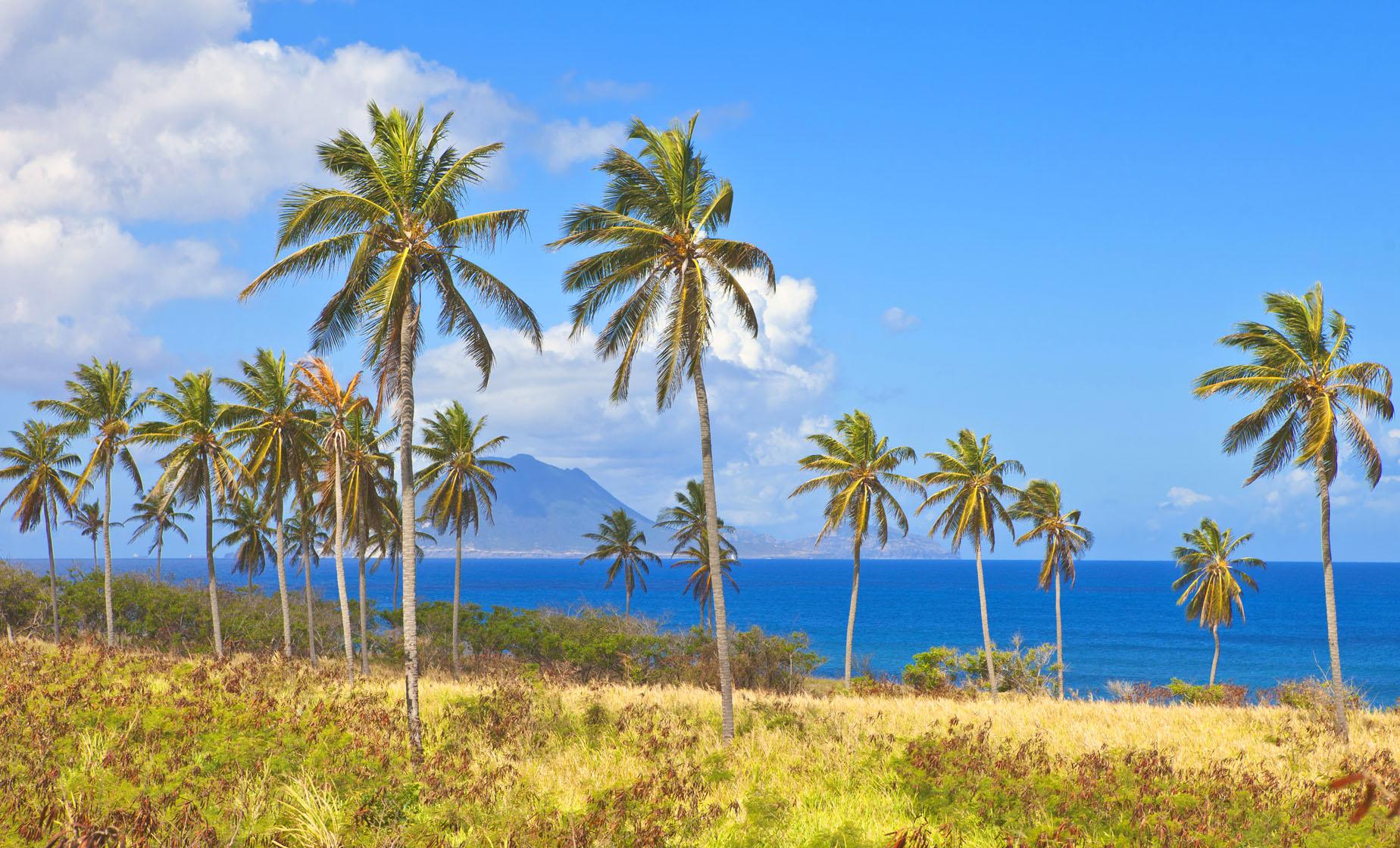 Private Mega Island Tour - Image 1