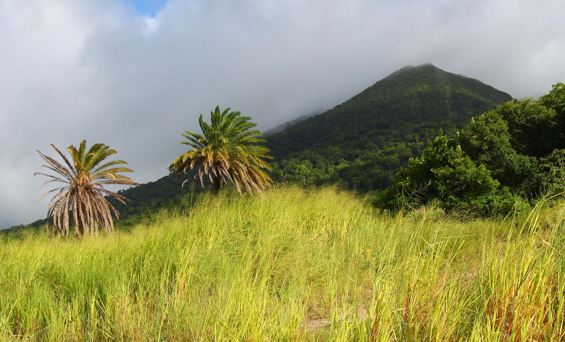 A Volcano Hiking Adventure - Image 1