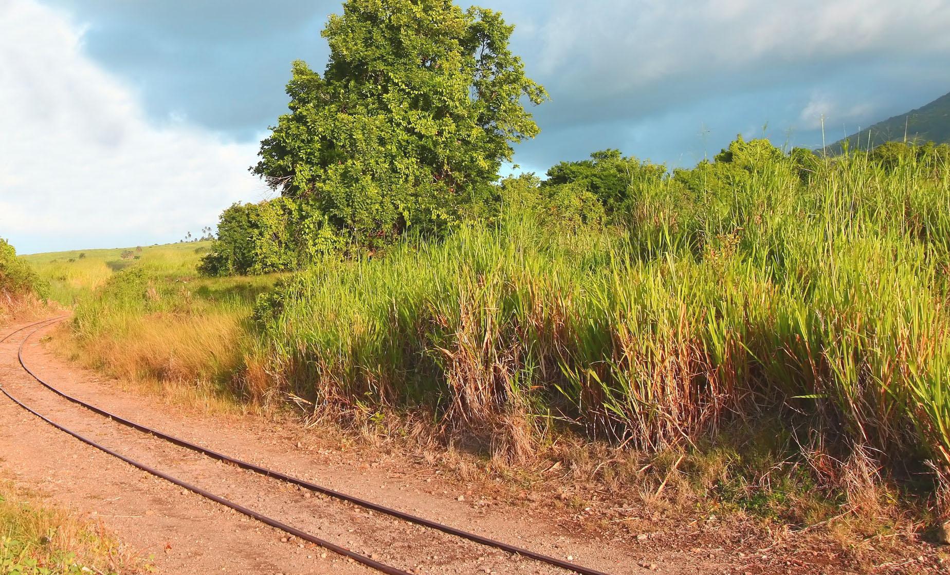 Amazing Grace Train Trek - Image 1