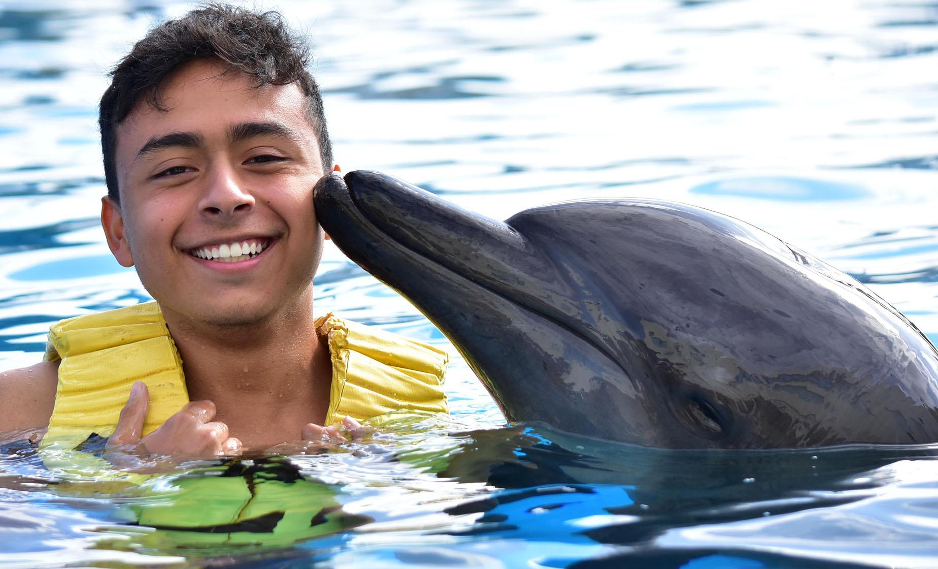 Dolphin Encounter - Image 1