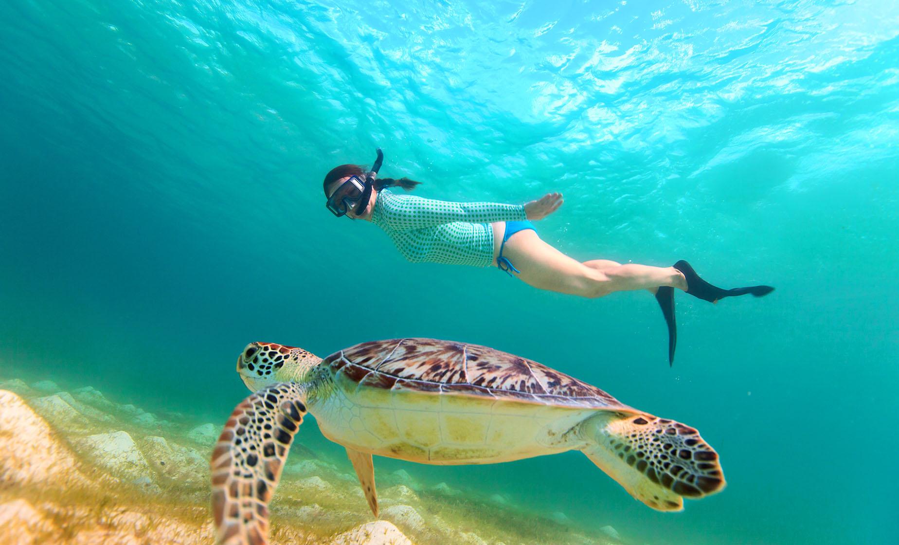 St. Kitts Snorkeling - Image 1