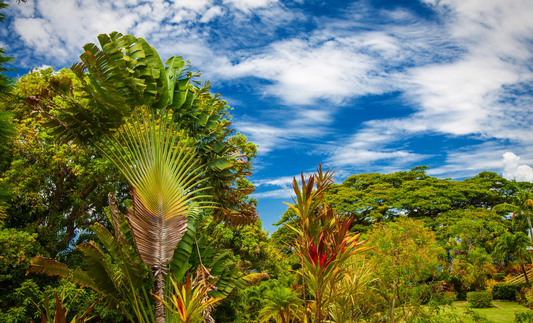 Super Island Tour - Image 1