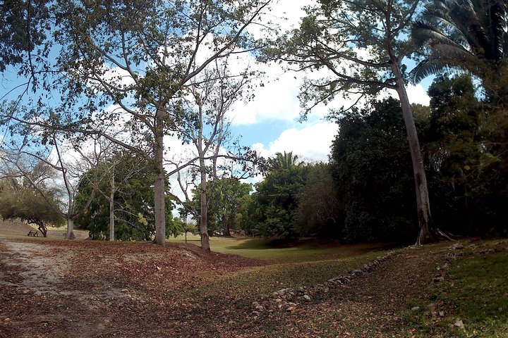 Altun Ha, Monkey Sanctuary and Rum Factory Tour from Belize City - Image 4